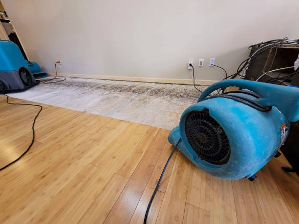 Professional Water Damage Repair technician working in Maria Stein, OH